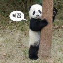 금와숯불 | #주간일기챌린지 #11월3주차