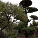 문학보건진료소 이미지