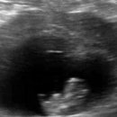 미래제일산부인과의원 이미지