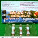 김씨일가