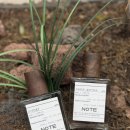 취향가득 나만의 향수 & 미니 룸스프레이 만들기 A | 💝 이색데이트 향수만들기 체험 '홍대향수공방 닷노트' 추천 후기