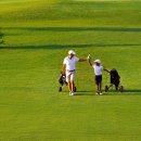 파크존소사 이미지