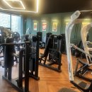 더휘트니스 이미지