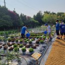 여수농업기술센터 이미지