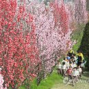 천지소프트 이미지