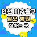 인천 미추홀구 탈모 전문 병원 두피 탈모관리 잘하는 곳 추천 List