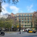 오닉스 | 바르셀로나 오닉스 람블라 호텔 솔직후기: 장단점 확실한 위치 좋은 숙소