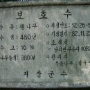 무릉리-11 이미지