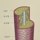 파랑헤어샵 | 미용실 청주대근처미용실 성안길헤어샵 희야디자이너 | [Sasaki Diploma] 사사키 염색 디플로마 1회차 후기