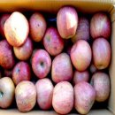 털보네농장 이미지