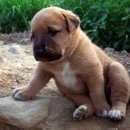 신촌뮤직 이미지