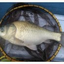 활주로낚시터 이미지