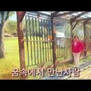 올드뉴스 Daum카페