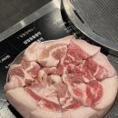메가엠지씨커피왕십리렉스점 | [맛집] 왕십리 원조부안집 쫀득살 특수부위, 메가커피 신메뉴 수박주스 트로피컬용과티플레저