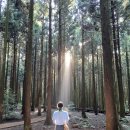 들꽃촌 | 합천황매산 모산재 부부백패킹