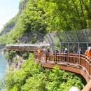 단양생태체육공원 1 이미지