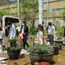 우포 잠자리 나라 이미지