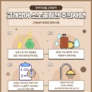 고래상어마켓
