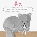 파크볼 야외용은 크기가 적은 것인가요? 이미지