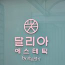 길음로12 | 길음역 피부관리 달리아에스테틱 길음역점 작은얼굴관리 후기