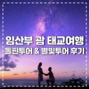 별빛한잔 - 서귀포시 | [태교여행] 임산부 괌 돌핀투어 & 별빛투어 후기 / 한번에 예약해서 할인 받기