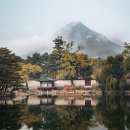 품마을행정사 합동사무소 이미지