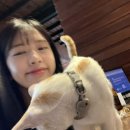 마오락실 이미지