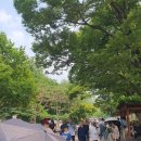 어린이대공원 제5호 이미지