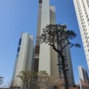 천안불무초등학교 이미지