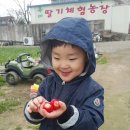 욱이네 농장 이미지