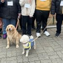 아산 반려견 교육센터 이미지