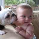 동탄동물병원 이미지