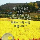 10월16일 수요일 오늘의 책속의 한마디 이미지