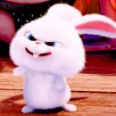 마이펫의 이중생활 이미지