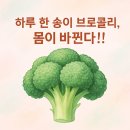 브로콜리