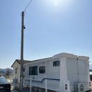 베일리하우스애견펜션 이미지