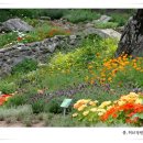 서해에서아침을펜션 이미지