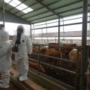 범당골농장 이미지