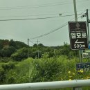 A17 | [캠핑장추천] 양평에 위치한 시설 좋은 엘모로 캠핑파크 | A17,A18 예약 후기