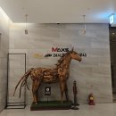 호박사우나 이미지