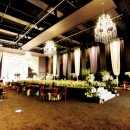 파티랜드 이미지