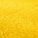 봄을담다 이미지