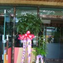 신가메디한방병원 이미지