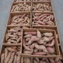 가람농장 이미지