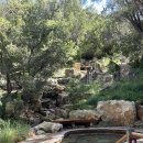 대수풀농장 | 멜버른 근교 온천 여행 모닝턴 페닌슐라 온천 Peninsula Hot Springs