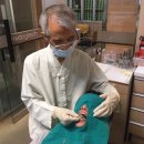 황영구치과의원 이미지