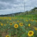 할매국밥하양점 이미지
