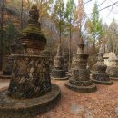 [류재림의 포토다큐] 한국의 앙코르와트, 그 많은 돌탑을 누가 쌓았을까? 이미지