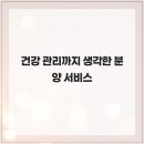 주식회사 도그마루강아지고양이분양전문영남 | 건강 관리까지 생각한 분양 서비스 - 강아지분양 부산강아지분양 고양이분양 도그마루