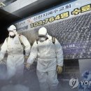 42 연합뉴스